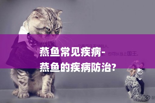 燕魚常見疾病-
燕魚的疾病防治?