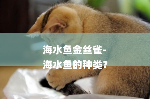 海水魚金絲雀-
海水魚的種類？