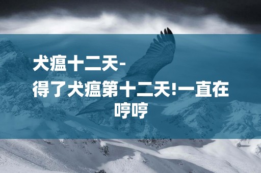 犬瘟十二天-
得了犬瘟第十二天!一直在哼哼