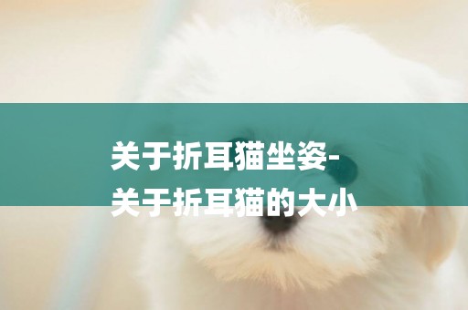 關于折耳貓坐姿-
關于折耳貓的大小