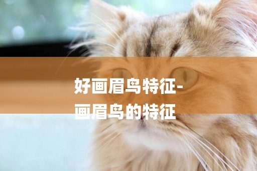 好畫眉鳥特征-
畫眉鳥的特征