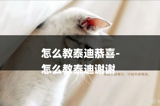 怎么教泰迪恭喜-
怎么教泰迪謝謝