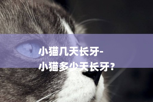 小貓幾天長牙-
小貓多少天長牙？