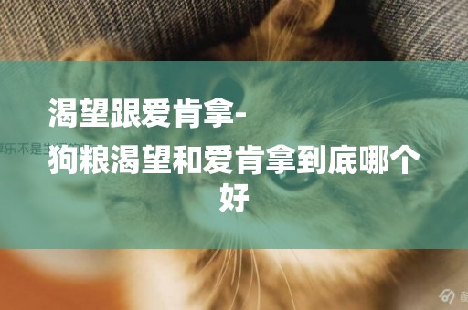 渴望跟愛肯拿-
狗糧渴望和愛肯拿到底哪個好