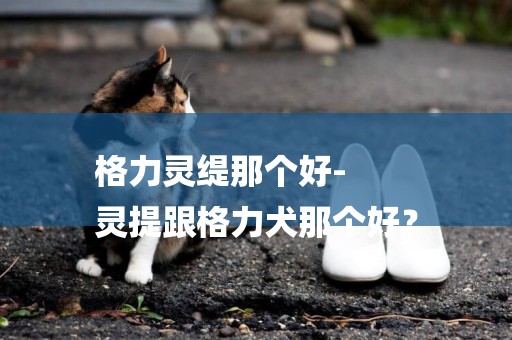 格力靈緹那個好-
靈提跟格力犬那個好？