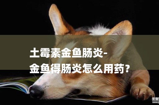 土霉素金魚腸炎-
金魚得腸炎怎么用藥？