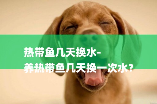 熱帶魚幾天換水-
養熱帶魚幾天換一次水？