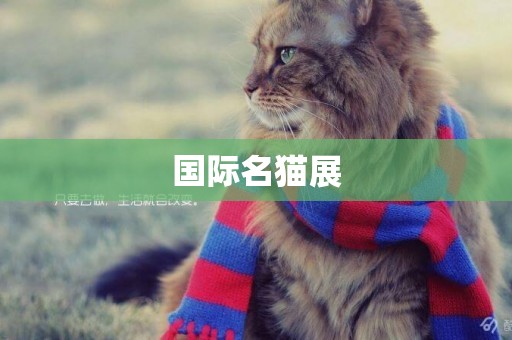 國際名貓展