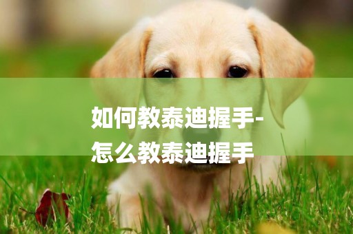 如何教泰迪握手-
怎么教泰迪握手