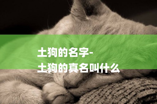 土狗的名字-
土狗的真名叫什么