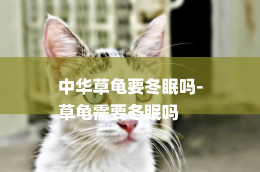 中華草龜要冬眠嗎-
草龜需要冬眠嗎