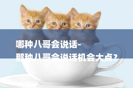 哪種八哥會說話-
那種八哥會說話機會大點？