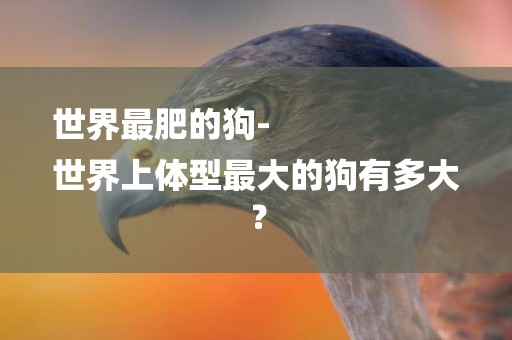世界最肥的狗-
世界上體型最大的狗有多大？