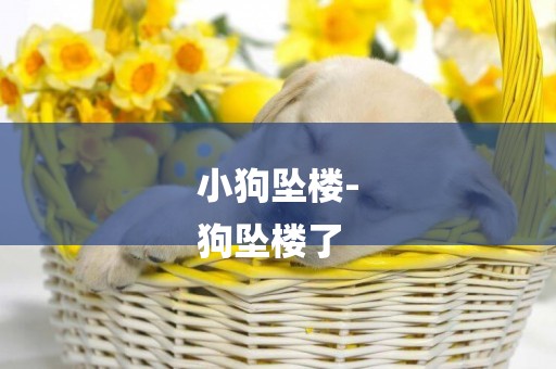 小狗墜樓-
狗墜樓了