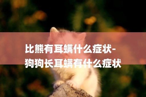 比熊有耳螨什么癥狀-
狗狗長耳螨有什么癥狀