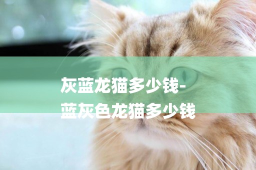 灰藍龍貓多少錢-
藍灰色龍貓多少錢