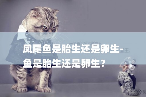 鳳尾魚是胎生還是卵生-
魚是胎生還是卵生？