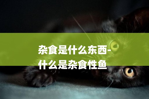 雜食是什么東西-
什么是雜食性魚