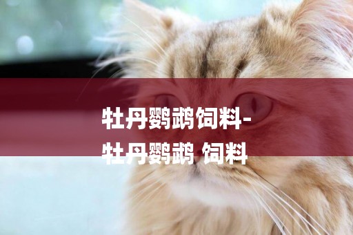 牡丹鸚鵡飼料-
牡丹鸚鵡 飼料