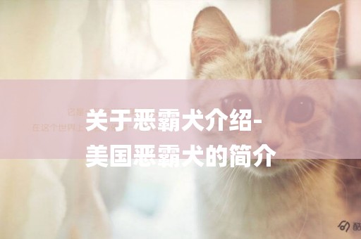 關于惡霸犬介紹-
美國惡霸犬的簡介