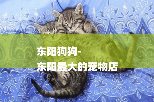 東陽狗狗-
東陽最大的寵物店