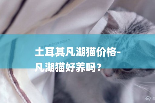 土耳其凡湖貓價格-
凡湖貓好養嗎？