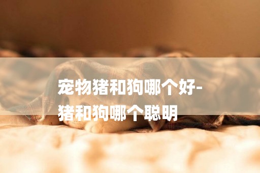 寵物豬和狗哪個好-
豬和狗哪個聰明