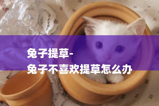 兔子提草-
兔子不喜歡提草怎么辦
