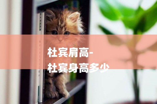 杜賓肩高-
杜賓身高多少