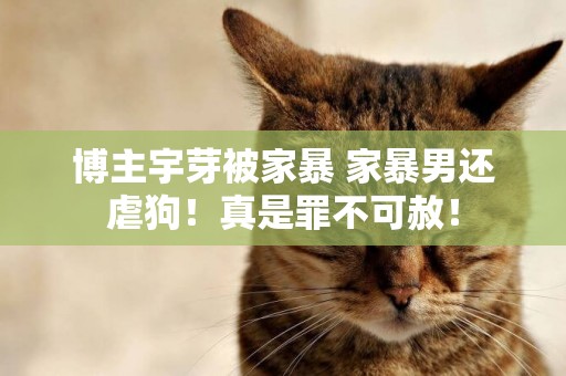 博主宇芽被家暴 家暴男還虐狗！真是罪不可赦！