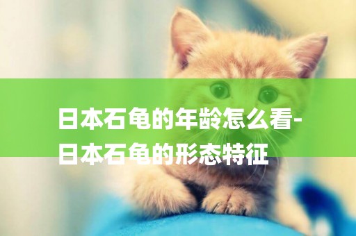 日本石龜的年齡怎么看-
日本石龜的形態特征