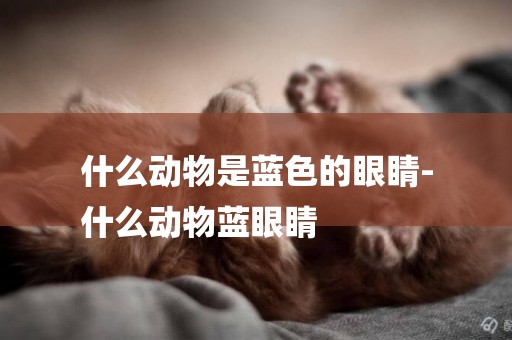 什么動物是藍色的眼睛-
什么動物藍眼睛