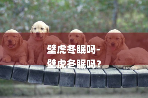 壁虎冬眠嗎-
壁虎冬眠嗎？
