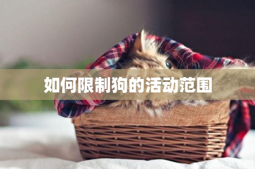 如何限制狗的活動范圍