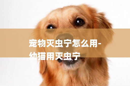 寵物滅蟲寧怎么用-
幼貓用滅蟲寧