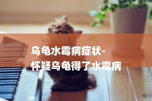 烏龜水霉病癥狀-
懷疑烏龜得了水霉病