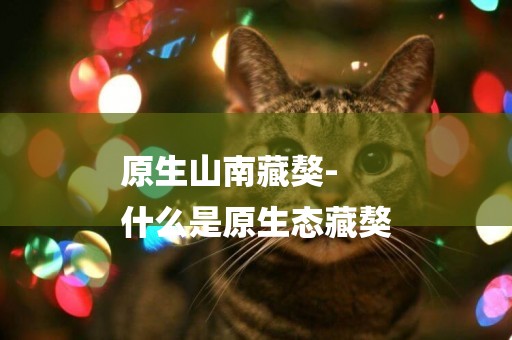 原生山南藏獒-
什么是原生態藏獒