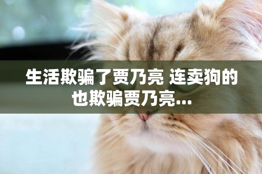 生活欺騙了賈乃亮 連賣狗的也欺騙賈乃亮...