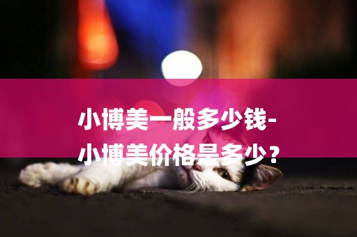 小博美一般多少錢-
小博美價格是多少？