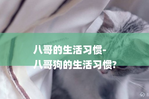 八哥的生活習慣-
八哥狗的生活習慣?