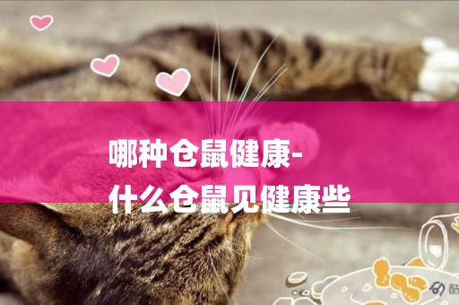 哪種倉鼠健康-
什么倉鼠見健康些
