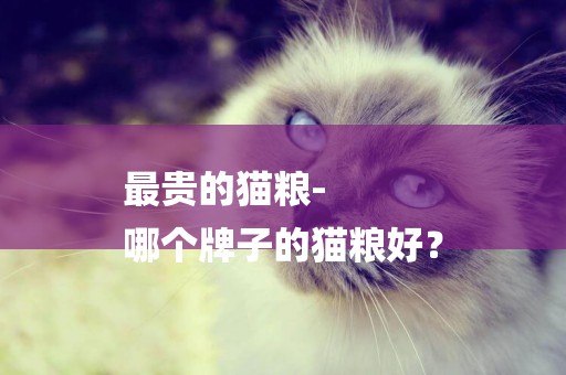 最貴的貓糧-
哪個牌子的貓糧好？