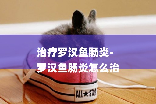 治療羅漢魚腸炎-
羅漢魚腸炎怎么治