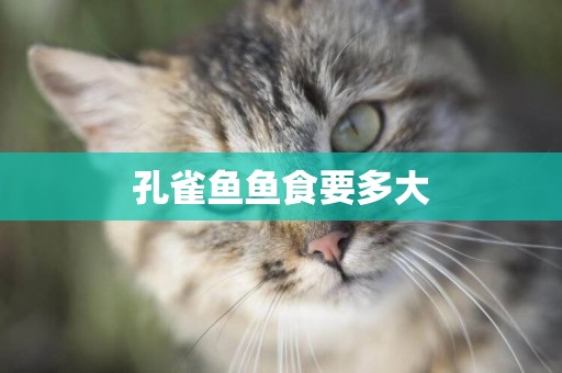 孔雀魚魚食要多大