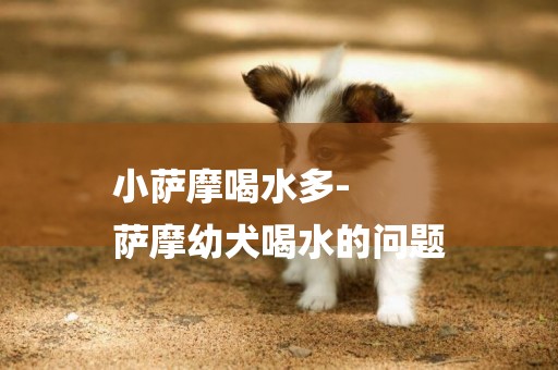 小薩摩喝水多-
薩摩幼犬喝水的問題