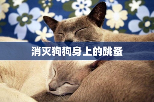 消滅狗狗身上的跳蚤