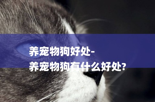 養寵物狗好處-
養寵物狗有什么好處?