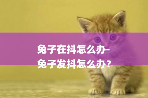 兔子在抖怎么辦-
兔子發抖怎么辦？