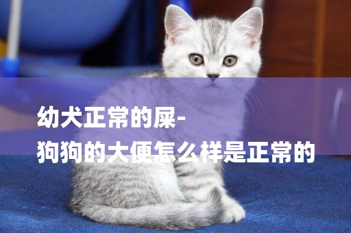 幼犬正常的屎-
狗狗的大便怎么樣是正常的