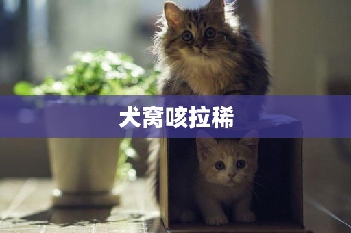 犬窩咳拉稀